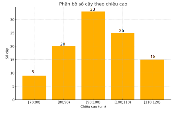 Hình minh họa câu hỏi